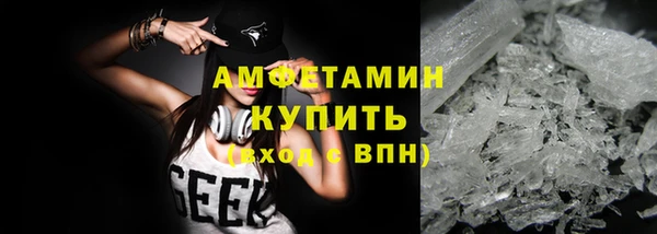 шишки Дмитровск