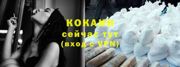 шишки Дмитровск