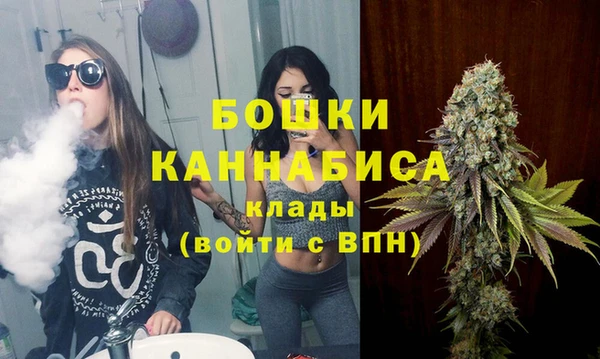 спиды Новодвинск