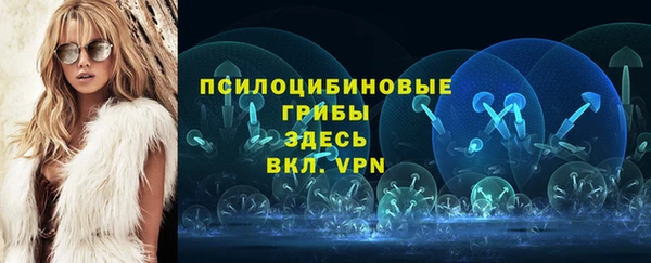 молекула духа Хадыженск