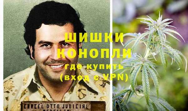 ГАЛЛЮЦИНОГЕННЫЕ ГРИБЫ Новосибирск
