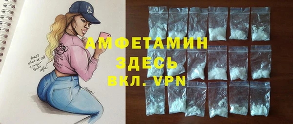 сатива Новозыбков