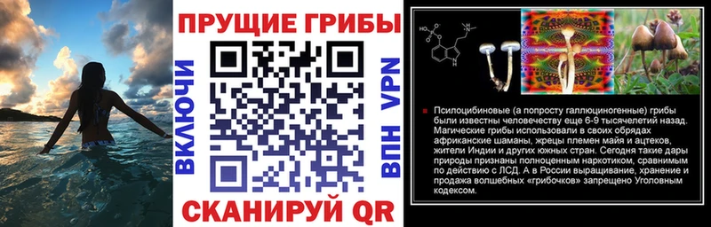 Галлюциногенные грибы мухоморы  Приморск 